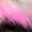 1201381602_27.jpg